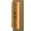 Двері для лазні та сауни Tesli Sateen Lux RS Magnetic 1900 x 700